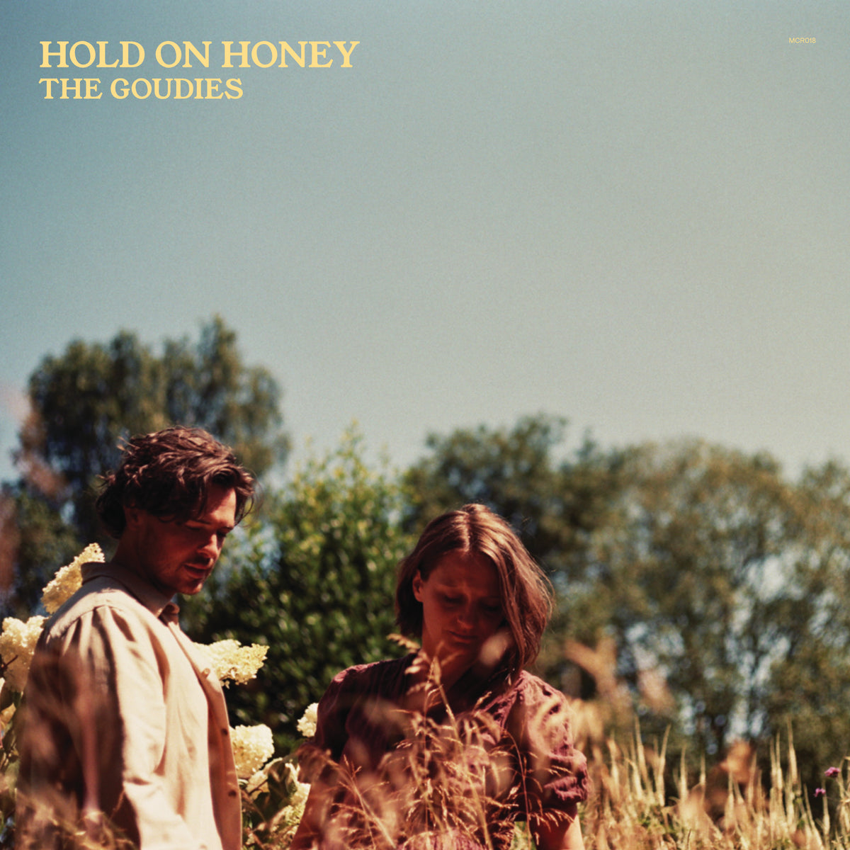 Hold On Honey - LP (Preorder)